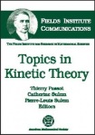 Topics in Kinetic Theory
