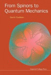 From Spinors To Quantum Mechanics