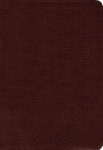 Amplified Holy Bible, Bonded Leather, Burgundy