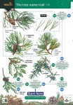 Tree Name Trail