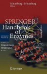 Class 2–3.2 Transferases, Hydrolases