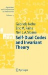 Self-Dual Codes and Invariant Theory