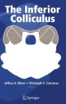 Inferior Colliculus