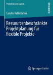 Ressourcenbeschrankte Projektplanung fur flexible Projekte