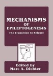 Mechanisms of Epileptogenesis