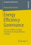 Energy Efficiency Governance