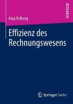Effizienz des Rechnungswesens