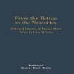 From the Retina to the Neocortex