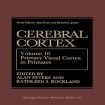 Cerebral Cortex