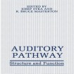Auditory Pathway