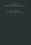 Heterotrophie / Heterotrophy