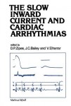 Slow Inward Current and Cardiac Arrhythmias