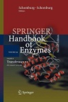 Class 2  Transferases VI