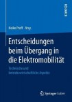Entscheidungen beim Ubergang in die Elektromobilitat