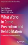 What Works in Crime Prevention and Rehabilitation