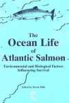 Ocean Life of Atlantic Salmon