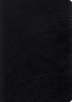 ESV Study Bible, Large Print