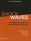 Shock waves