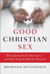 Good Christian Sex: Why Chastity Is Not the Only Option - And Other Things the Bible Says About Sex