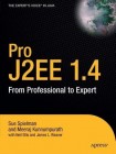 Pro J2EE 1.4: From Professional to Expert