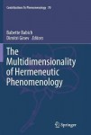 Multidimensionality of Hermeneutic Phenomenology