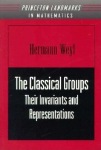 Classical Groups
