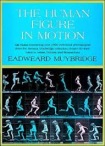Human Figure in Motion