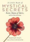 Little Book of Mystical Secrets