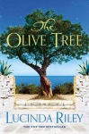 Olive Tree