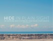Hide in Plain Sight