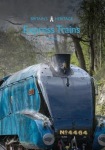 Express Trains