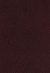 KJV, The King James Study Bible, Bonded Leather, Burgundy, Thumb Indexed, Red Letter, Full-Color Edition