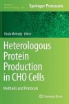 Heterologous Protein Production in CHO Cells