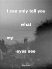 I Can Only Tell You What My Eyes See