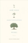 How Does Sanctification Work?