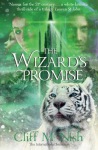 Wizard's Promise