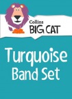Turquoise Band Set