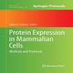 Protein Expression in Mammalian Cells