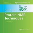Protein NMR Techniques