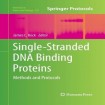 Single-Stranded DNA Binding Proteins