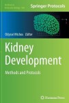 Kidney Development