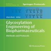 Glycosylation Engineering of Biopharmaceuticals
