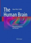 Human Brain