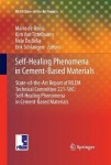 Self-Healing Phenomena in Cement-Based Materials