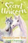 My Secret Unicorn: Dreams Come True