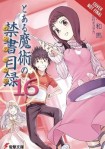 Certain Magical Index, Vol. 16 (light novel)