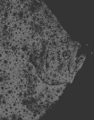 In the Deep Present