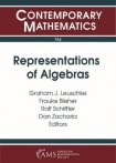 Representations of Algebras