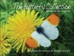 Butterfly Collection
