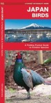 Japan Birds